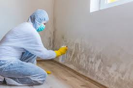 Forensic Mold Investigation in Manvel, TX